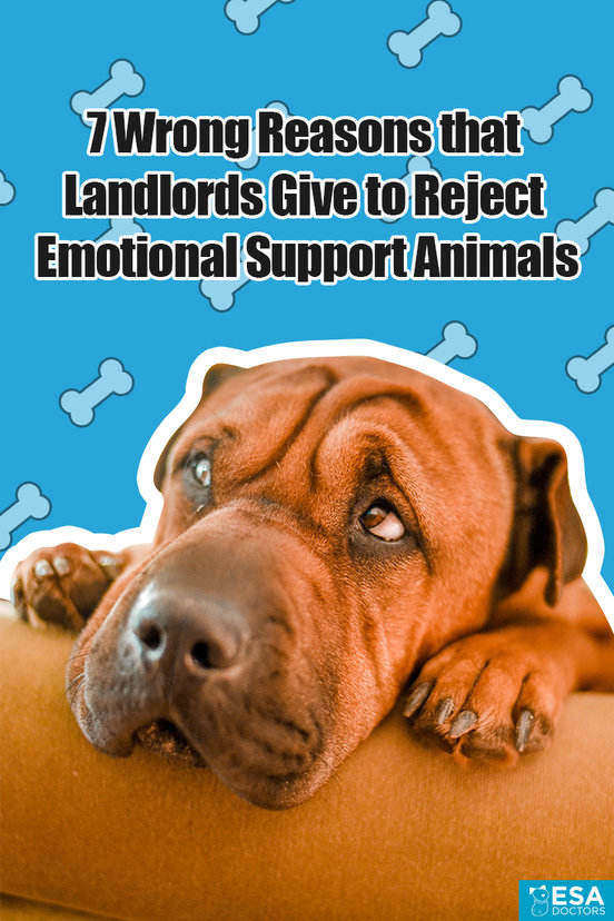 Excuses that landlords, HOA's, and condos give to deny emotional support animals.