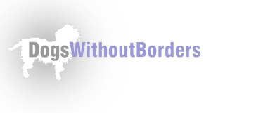 CA PSD shelter - Dogs Without Borders
