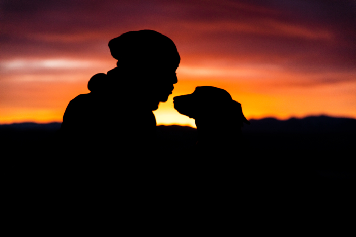 9 Ways Dogs Show They Love Us