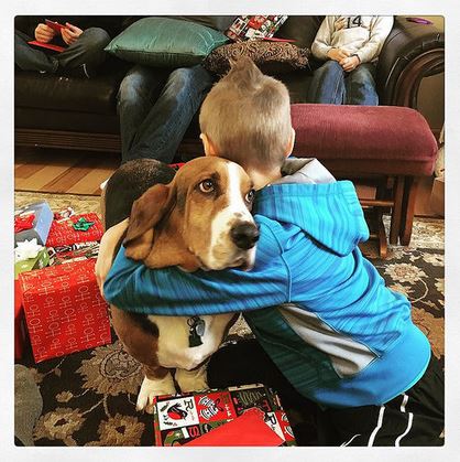 Are Emotional Support Dogs Allowed In Public Places?