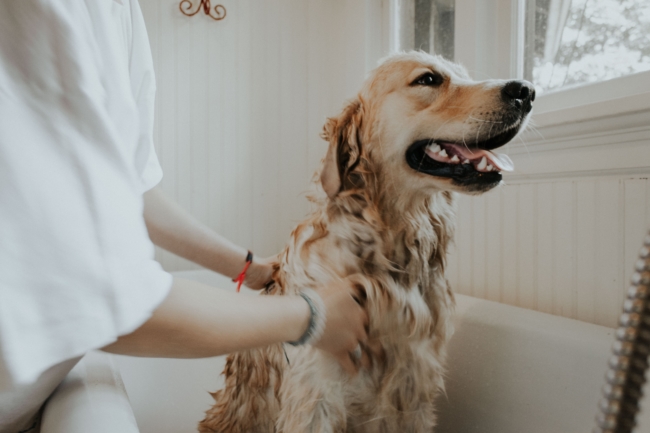 The Fair Housing Act protects people with disabilities that need emotional support animals to live with them.