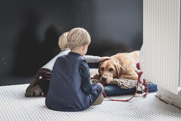 ESA and family - no weight or breed bans