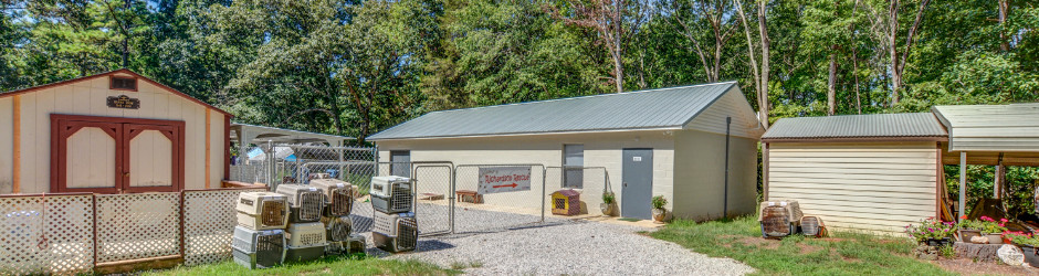 Richardson Rescue Animal Adoption South Carolina
