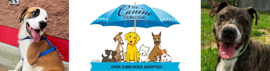 Canine Collective Ohio