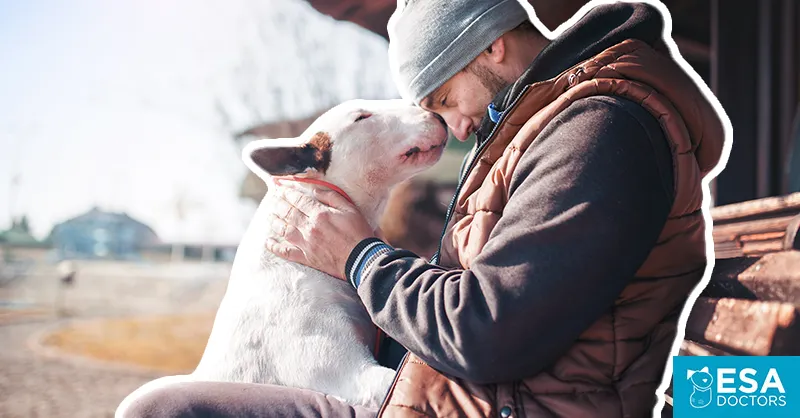 Emotional Support Animal Laws You Should Know