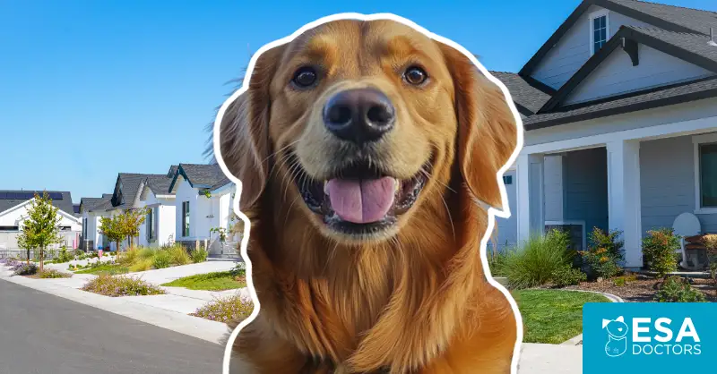 Can HOAs Require You to Register Service Dogs or Emotional Support Animals?