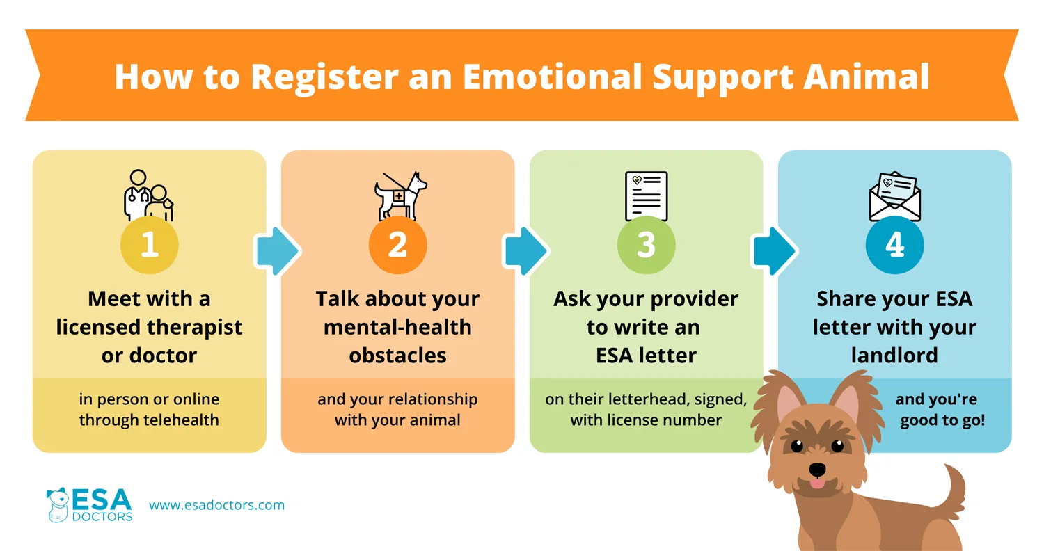 How to Register an Emotional Support Animal