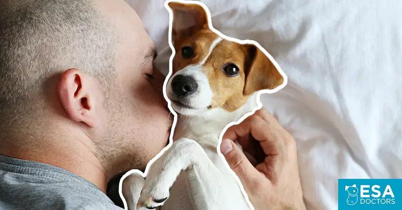What to do if your patient asks for an emotional support animal? - ESA Doctors