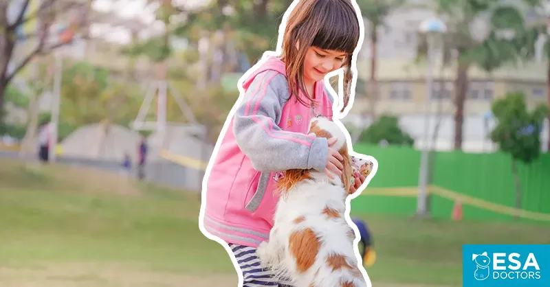 Do I Need an Emotional Support Dog, Service Dog or Therapy Dog?